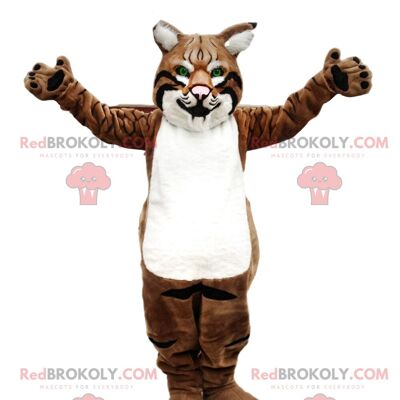 Raccoon REDBROKOLY mascot, polecat costume, forest animal / REDBROKO_09410