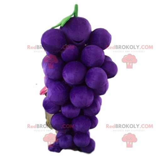 Purple monster REDBROKOLY mascot, purple creature costume / REDBROKO_09416