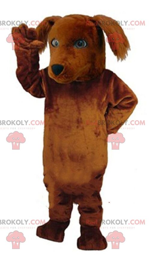 Zombie teddy REDBROKOLY mascot, scary bear, Halloween / REDBROKO_09427