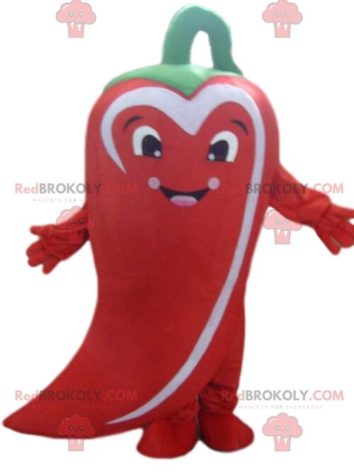 REDBROKOLY mascot Mr. Potato, famous character from Toy Story / REDBROKO_09584