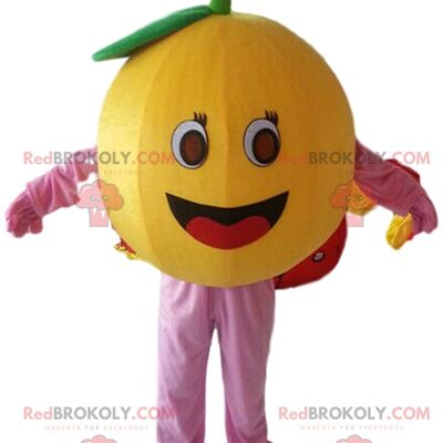 Mascotte courge REDBROKOLY, patate, costume de cacahuète / REDBROKO_09587