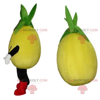 Mascotte d'ananas jaune et vert REDBROKOLY, déguisement d'ananas, fruit exotique / REDBROKO_09651 2