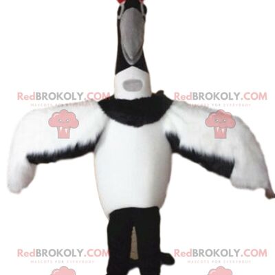 Gray and white koala REDBROKOLY mascot, Austalia costume / REDBROKO_09664