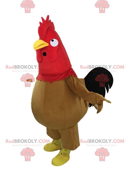 REDBROKOLY mascot yellow and red rooster, giant hen costume, colorful / REDBROKO_09756