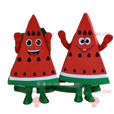 Dragon fruit REDBROKOLY mascot, giant pitaya costume / REDBROKO_09827