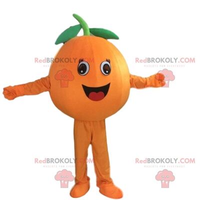 Giant orange REDBROKOLY mascot, orange fruit costume / REDBROKO_09918