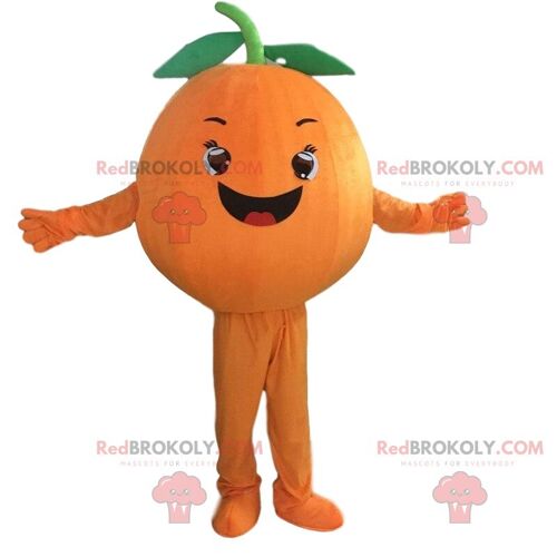 Giant orange REDBROKOLY mascot winking, fruit costume / REDBROKO_09920