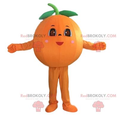Riesiges Orangenkostüm, Orangenfruchtkostüm / REDBROKO_09925