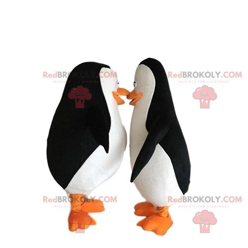 2 famous cartoon REDBROKOLY mascots, a penguin and a penguin / REDBROKO_09934