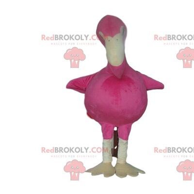 Bird REDBROKOLY mascot with aviator glasses, funny baby bird / REDBROKO_09997