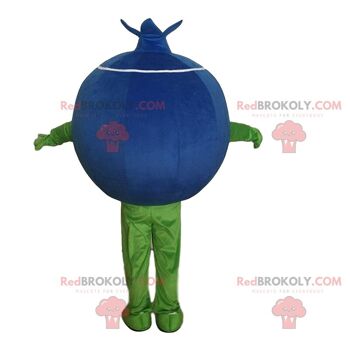 Costume de Stitch, le célèbre extraterrestre de Lilo et Stitch / REDBROKO_010246 2