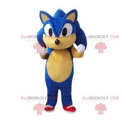 Mascota de REDBROKOLY Knuckles, famoso personaje de Sonic / REDBROKO_010583