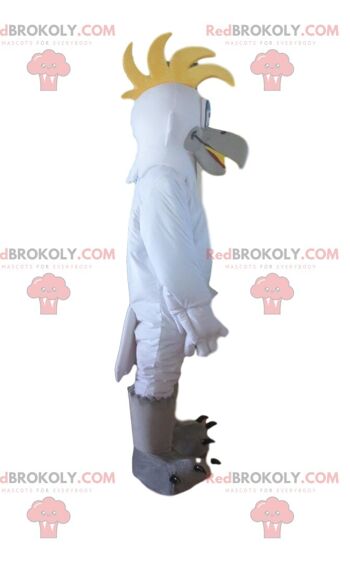 Mascotte d'homme oriental REDBROKOLY, costume maghrébin, musulman / REDBROKO_010701 2