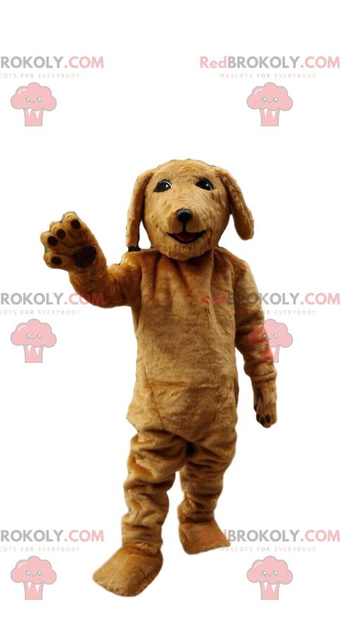 Brown lion REDBROKOLY mascot dressed in overalls, feline costume / REDBROKO_010782