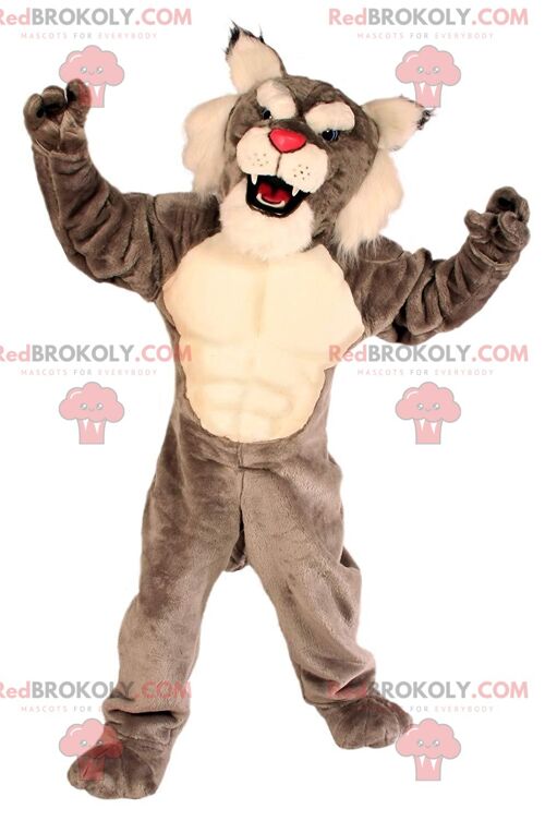 Bulldog REDBROKOLY mascot, plush gray dog costume / REDBROKO_011017