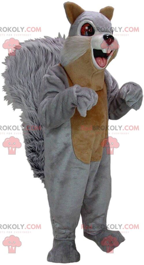Gray squirrel REDBROKOLY mascot with blue eyes, forest costume / REDBROKO_011053