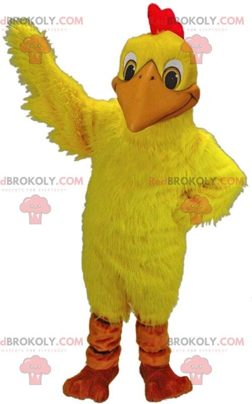 Colorful parrot REDBROKOLY mascot, blue macaw costume, giant bird / REDBROKO_011075