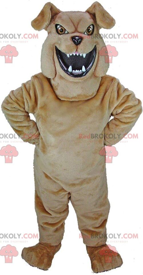 Meerkat REDBROKOLY mascot, desert animal, mongoose costume / REDBROKO_011121