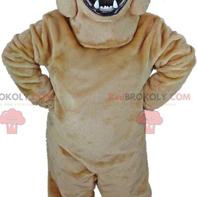 Meerkat REDBROKOLY mascotte, animale del deserto, costume da mangusta / REDBROKO_011121