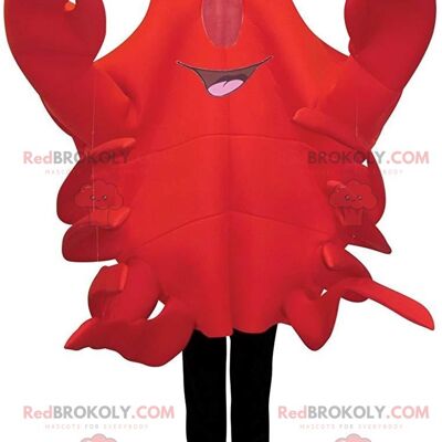 Mascotte de fraise rouge REDBROKOLY, costume de fraise avec des lunettes / REDBROKO_011375