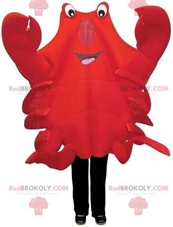 Mascotte de fraise rouge REDBROKOLY, costume de fraise avec des lunettes / REDBROKO_011375