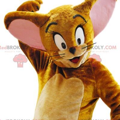 Tom REDBROKOLY mascot, character from the cartoon Tom and Jerry / REDBROKO_011594
