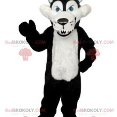 Gray bear REDBROKOLY mascot and its cute little blue muzzle / REDBROKO_011668