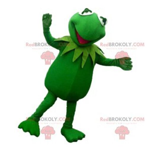 Shrek REDBROKOLY mascot, famous greenish ogre / REDBROKO_011763