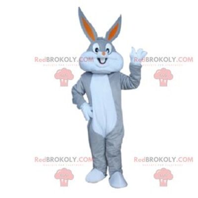Gray pixie REDBROKOLY mascot with a funny hairstyle / REDBROKO_012036