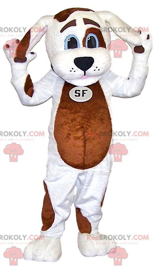 Gray and white wolf REDBROKOLY mascot. Wolf costume / REDBROKO_012465