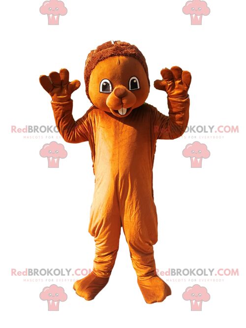 Chicken REDBROKOLY mascot in red costume. Chicken costume / REDBROKO_012660