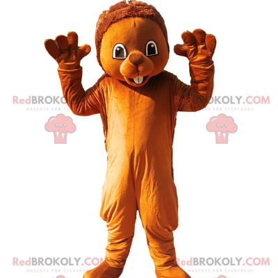 Chicken REDBROKOLY mascot in red costume. Chicken costume / REDBROKO_012660