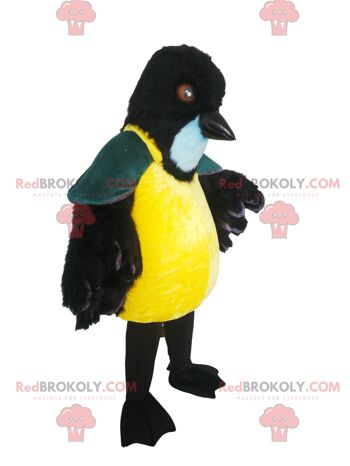 Mascotte enthousiaste de phoque REDBROKOLY en tenue de marin. / REDBROKO_012677 1
