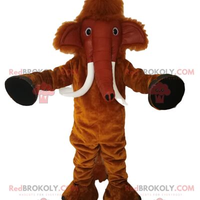 REDBROKOLY mascot colorful and majestic bird. Bird costume / REDBROKO_012678