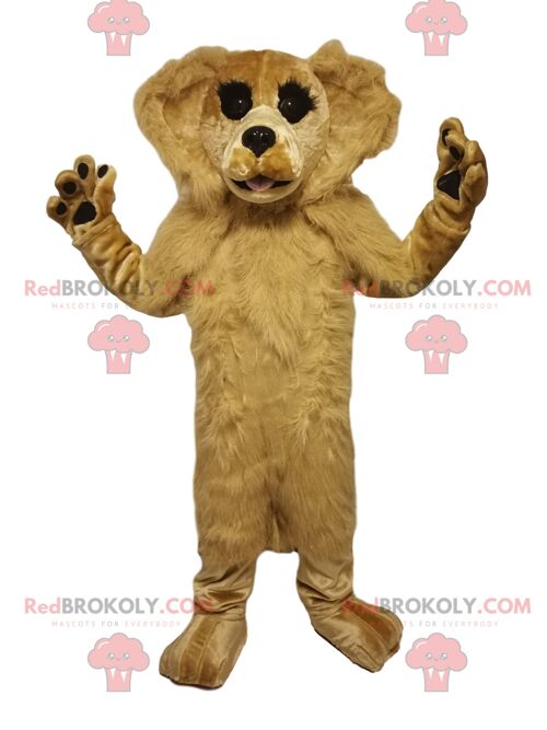 Fierce black bear REDBROKOLY mascot. Black bear costume / REDBROKO_012683