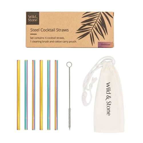 Steel Cocktail Drinking Straws - Rainbow - 6 Pack