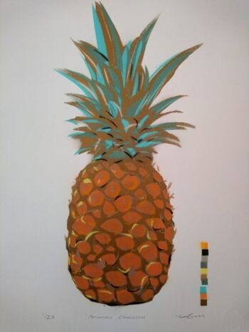 Ananas Comosus 3