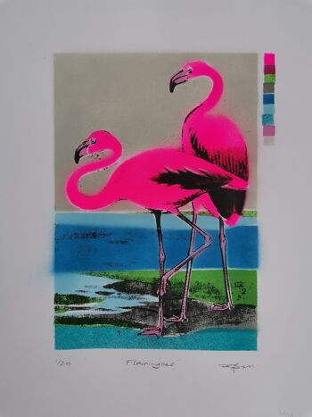 Flamants roses 1