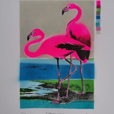 Flamingoes