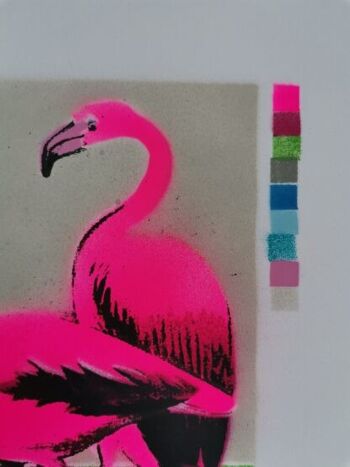 Flamants roses 3