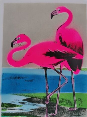 Flamants roses 4