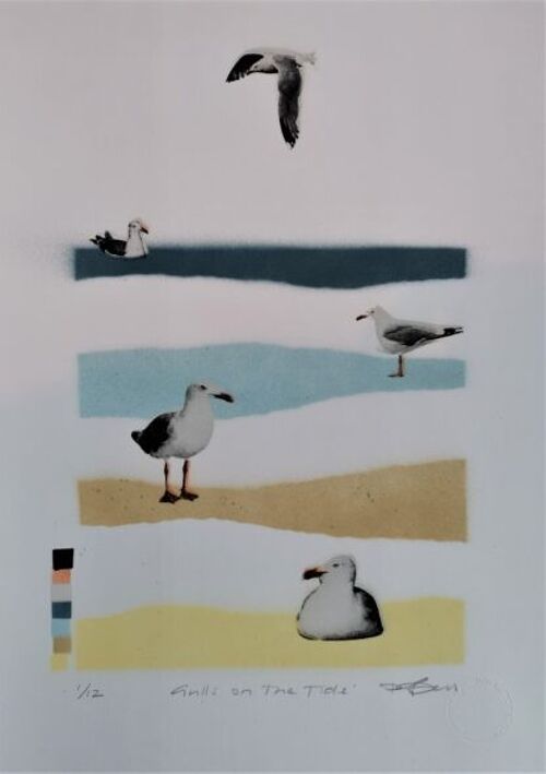 Gulls on the Tide