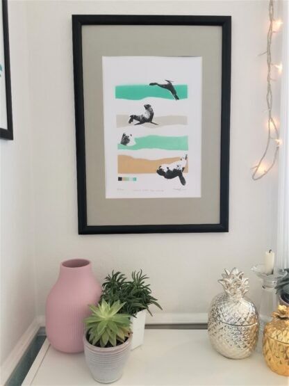 Phoques au large de la côte