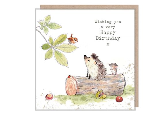 Hedgehog Birthday Card - Quality Card - Charming illustration - Hedgehog Mouse and Bird - 'Bucklebury Wood' range - Made in UK - BWE06