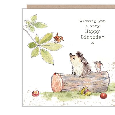 Igel-Geburtstagskarte – hochwertige Karte – bezaubernde Illustration – Igel, Maus und Vogel – „Bucklebury Wood“-Reihe – hergestellt in Großbritannien – BWE06