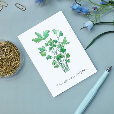 Postcard Parsley