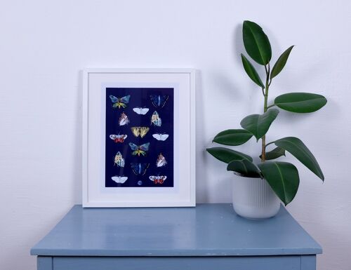 Kunstdruck Schmetterlinge A3