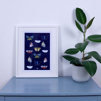 Art print butterflies A3