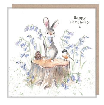Carte d'anniversaire Lapin - Illustration charmante - Lapin avec jacinthes des bois - Gamme 'Bucklebury Wood' - Fabriqué au Royaume-Uni - BWE09 3,15 €