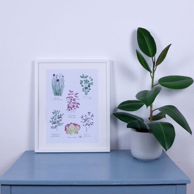 Art print herbs A3